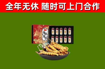 南岔县回收冬虫夏草价格